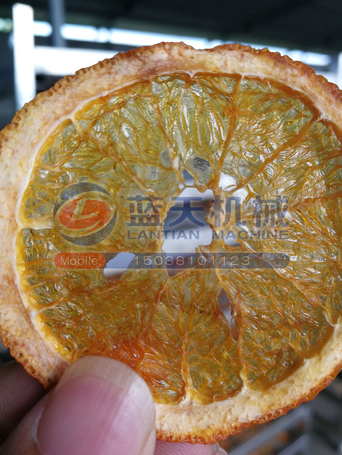 廣西水果烘干機(jī)