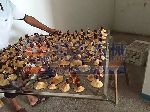 青海熱泵烘干機(jī)用戶現(xiàn)場