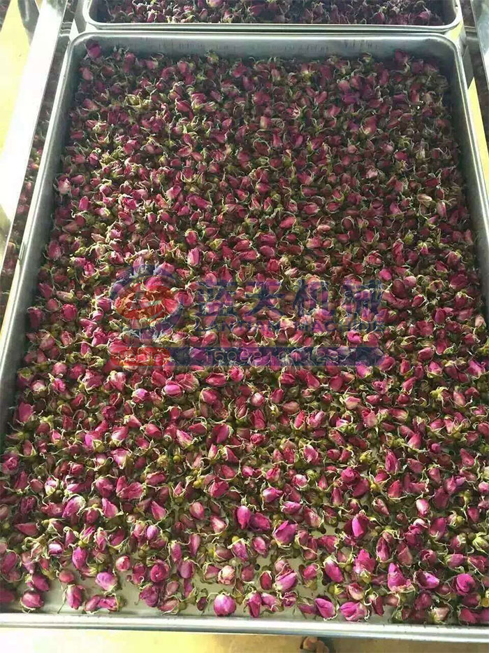 云南玫瑰花烘干機用戶現(xiàn)場
