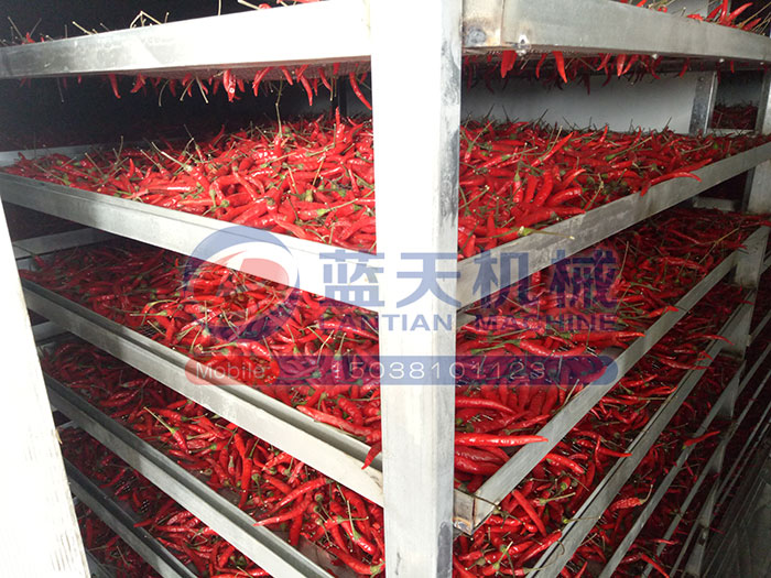 河南辣椒烘干機用戶現(xiàn)場