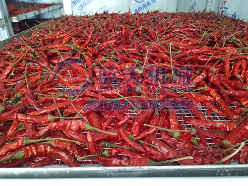 河南辣椒烘干機(jī)用戶現(xiàn)場