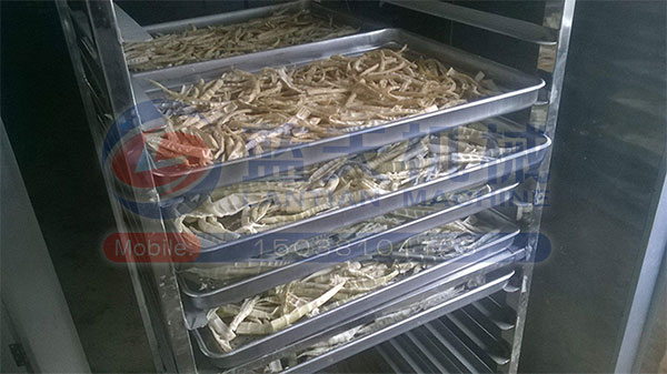 江西竹筍烘干機(jī)用戶現(xiàn)場(chǎng)