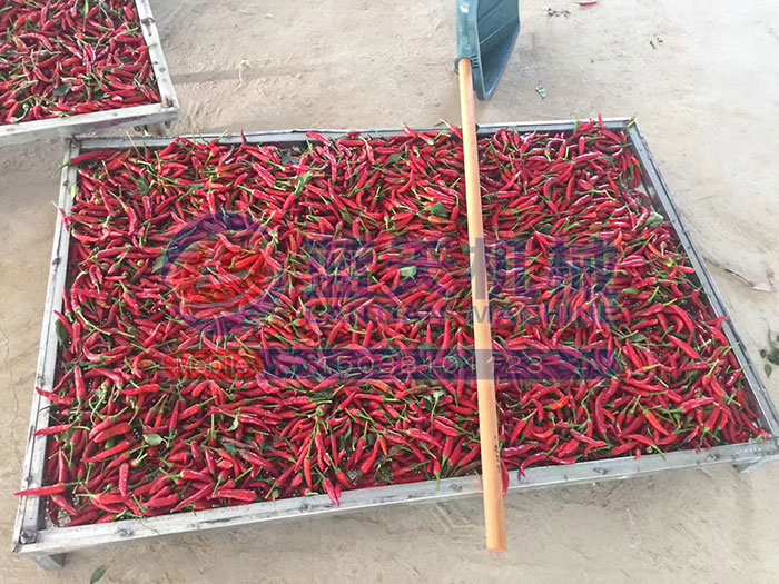 大型食品烘干機試機現(xiàn)場