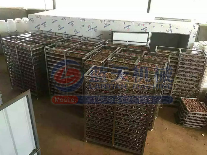 大型食品烘干機試機現(xiàn)場