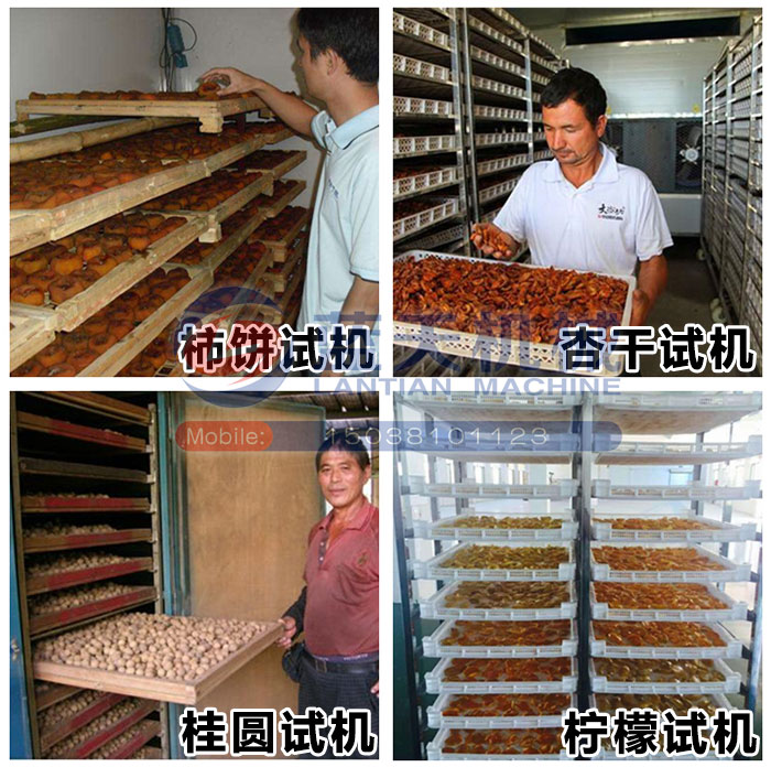 堅果烘干機試機現(xiàn)場