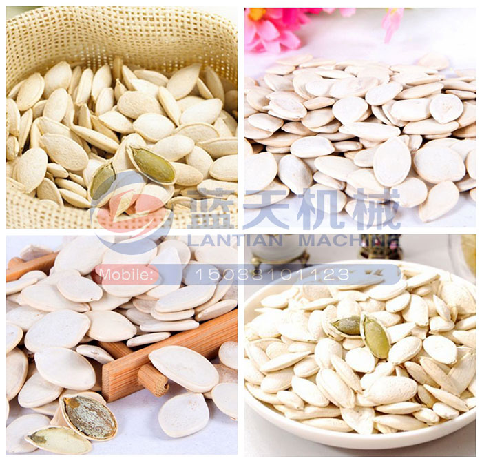 白瓜子烘干機烘干效果