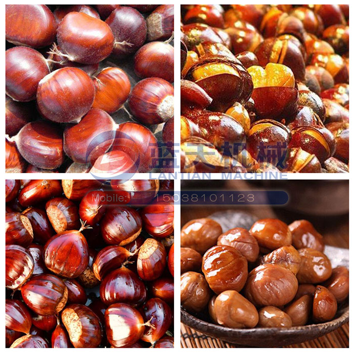 板栗烘干機烘干效果